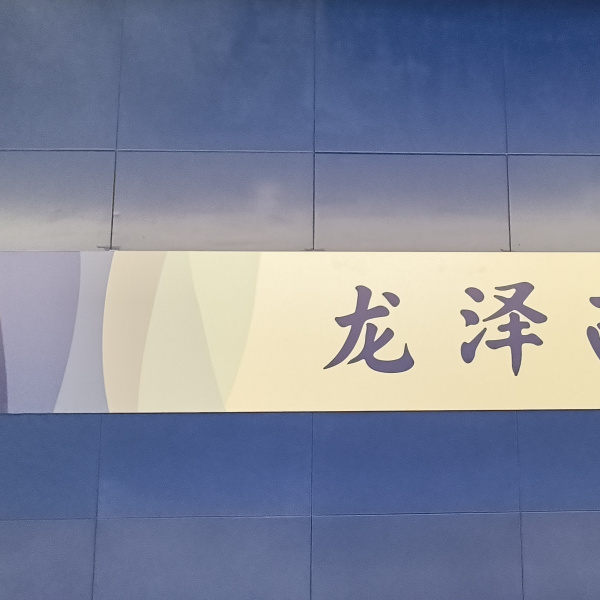龍澤西站 龍澤西站