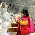 快樂尋回犬 快樂尋回犬