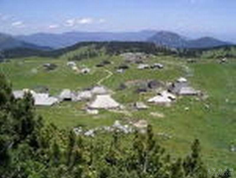 阿爾卑斯山牧場