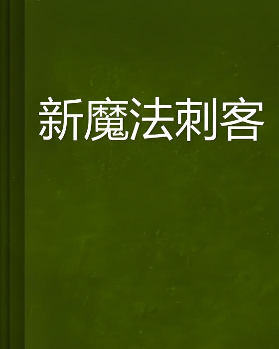 新魔法刺客 新魔法刺客