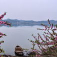 桃花渡(短篇小說) 桃花渡(短篇小說)