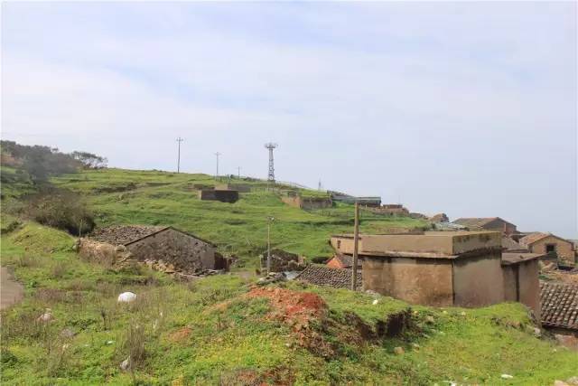 東星村(福建省福鼎市太姥山鎮下轄村) 東星村(福建省福鼎市太姥山鎮下轄村)