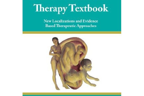 Soliman\x27s Auricular Therapy Textbook Soliman\x27s Auricular Therapy Textbook