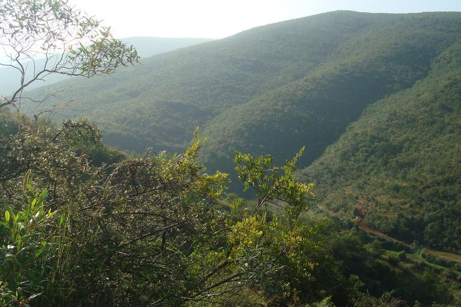 上回塘村 上回塘村