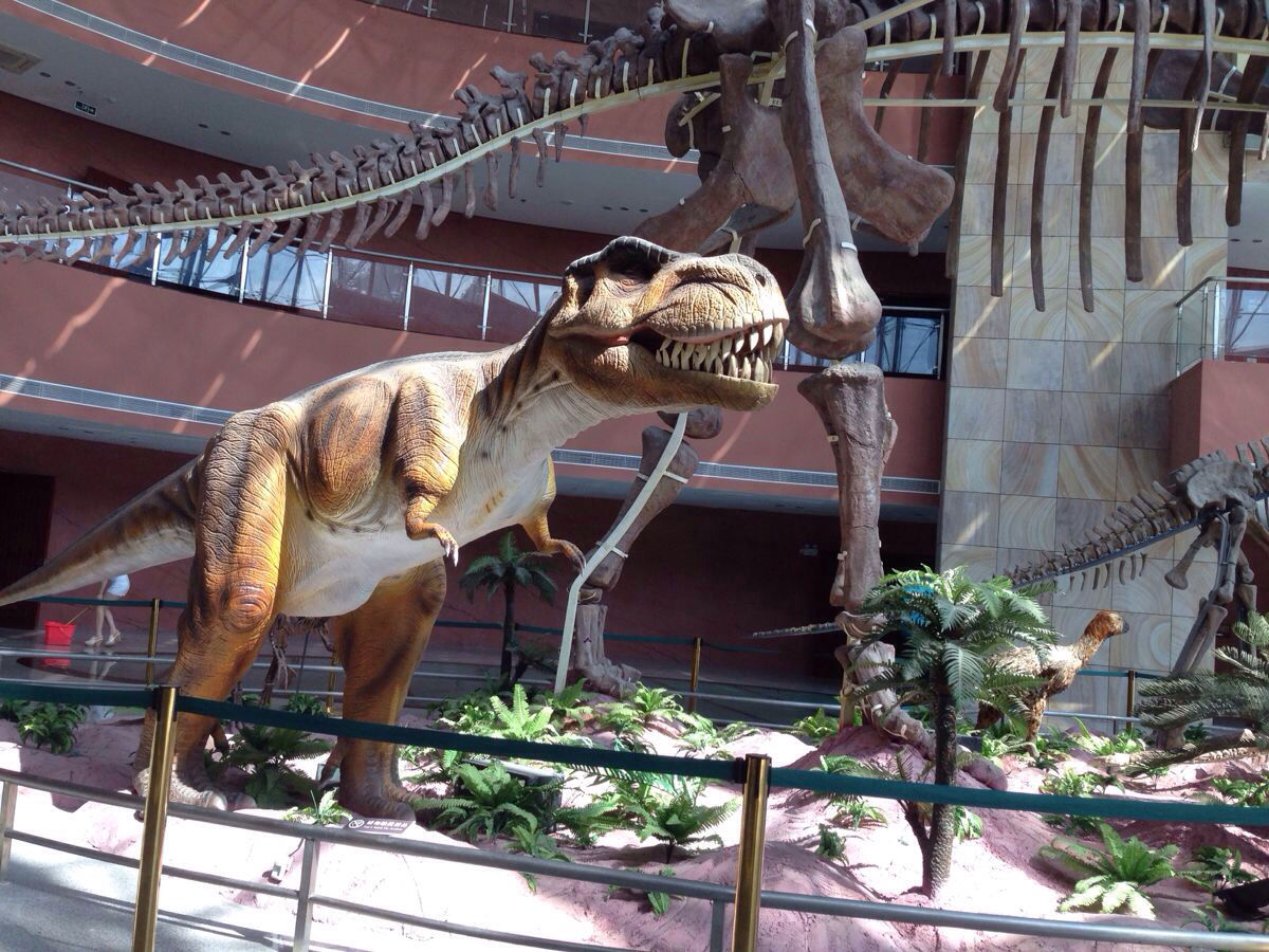 河源市博物館恐龍
