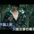 痛徹心扉(張棟樑演唱歌曲) 痛徹心扉(張棟樑演唱歌曲)