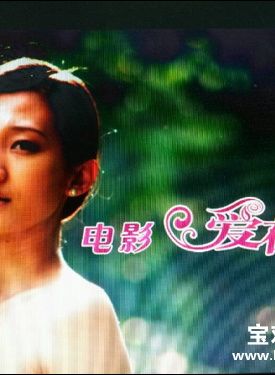 袁中方 袁中方