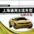 上海大眾主流車型電路圖集