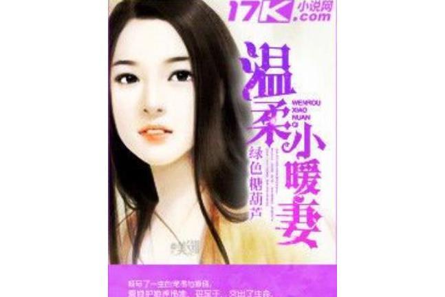 溫柔小暖妻 溫柔小暖妻
