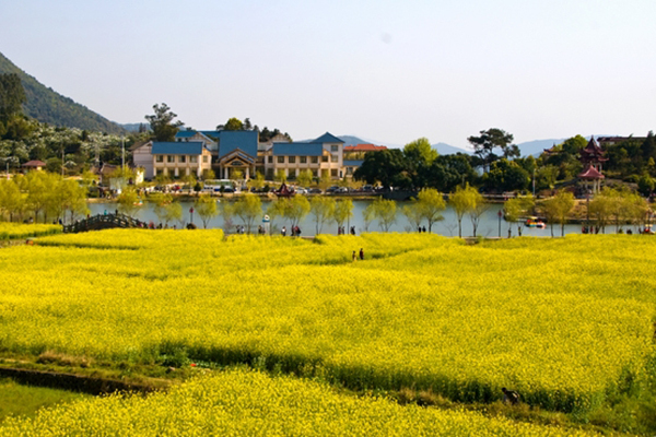 平盤村 平盤村