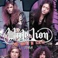 White Lion