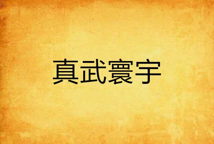 真武寰宇 真武寰宇