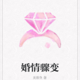 婚情驟變 婚情驟變