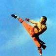 陰拳(井拳功) 陰拳(井拳功)
