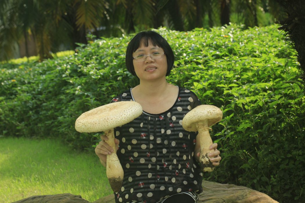 鄧旺秋