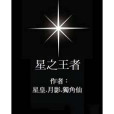 星之王者 星之王者