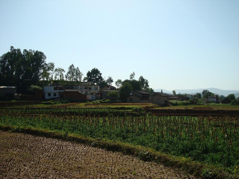 領亥村 領亥村
