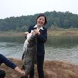南灣魚 南灣魚