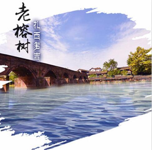 老榕樹(扎西多吉演唱歌曲) 老榕樹(扎西多吉演唱歌曲)