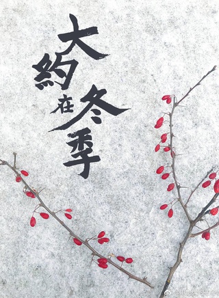 文淇