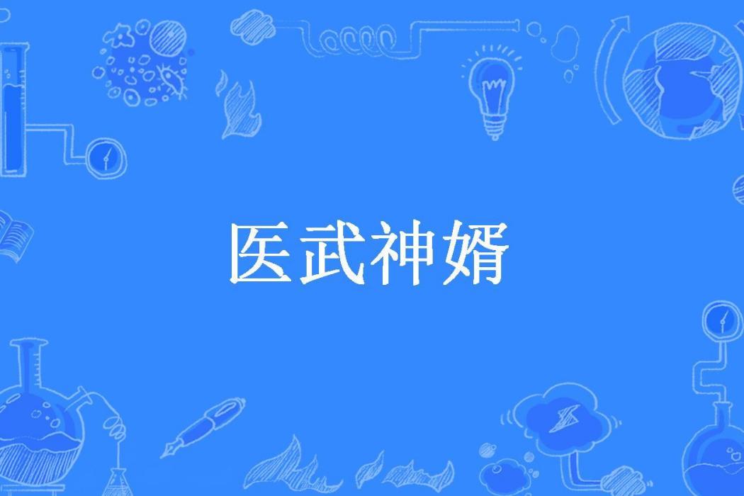 醫武神婿(地瓜所著小說) 醫武神婿(地瓜所著小說)
