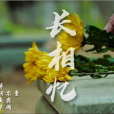 長相憶(軍營版MV) 長相憶(軍營版MV)