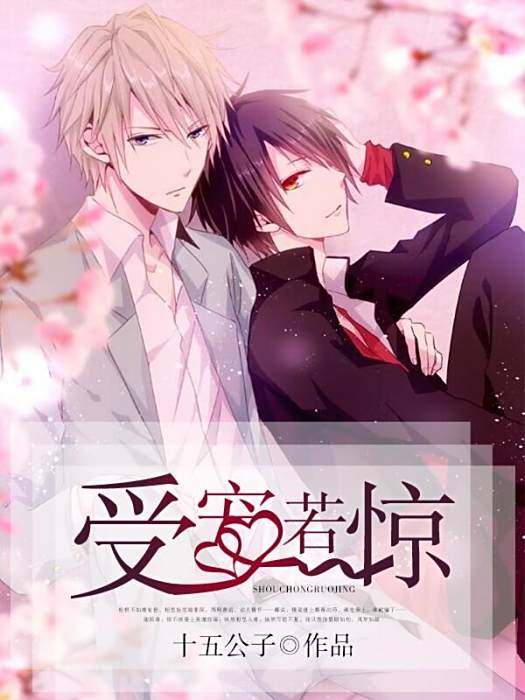 受寵若驚(文學網簽約作者十五公子所著耽美小說)