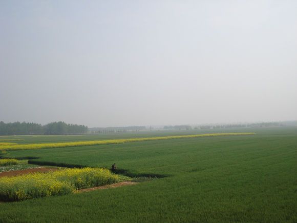 堯都張村 堯都張村