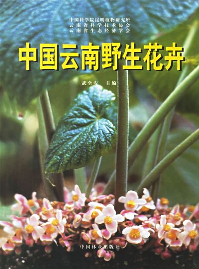 中國雲南野生花卉