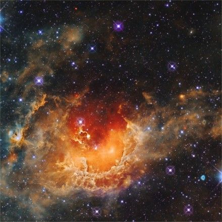 蝌蚪星雲 蝌蚪星雲