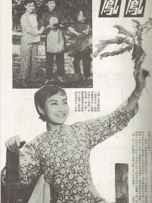鳳鳳(1965年張美瑤主演的電影) 鳳鳳(1965年張美瑤主演的電影)