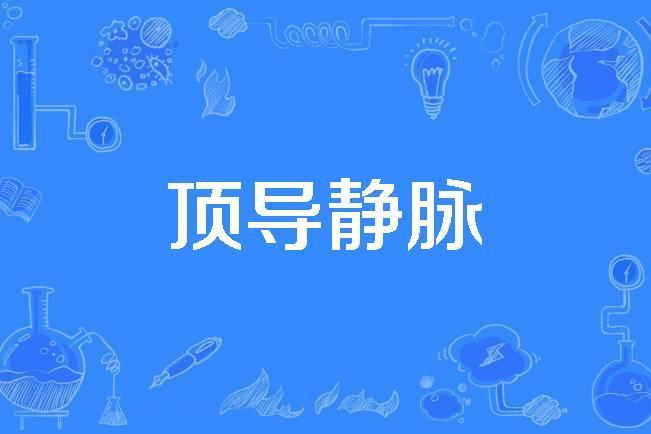 頂導靜脈 頂導靜脈