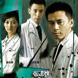 柳葉刀(2009年張建棟執導電視劇)