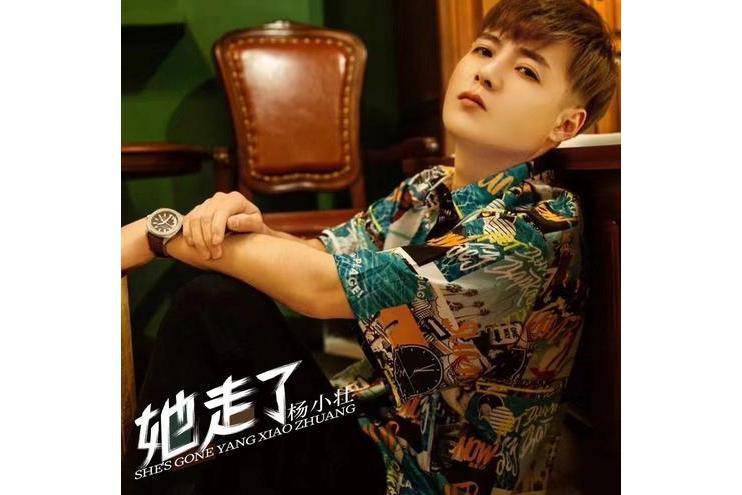 她走了(楊小壯演唱歌曲) 她走了(楊小壯演唱歌曲)