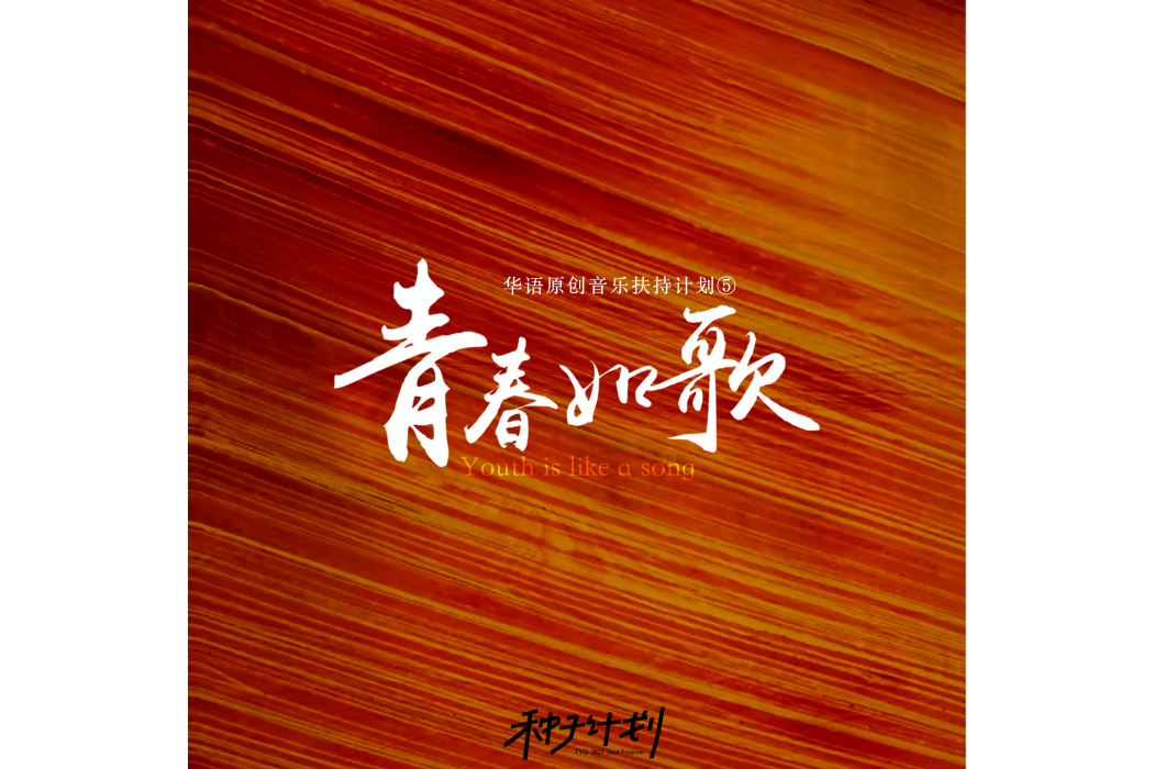 三十(音樂人常嶺演唱的歌曲) 三十(音樂人常嶺演唱的歌曲)