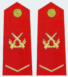武警一級士官肩章(2007—2009)