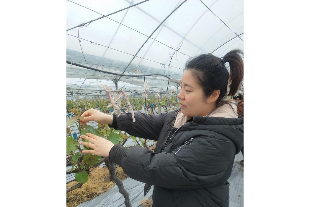李婉婷(武漢市景秀大地生態農業發展有限公司總經理) 李婉婷(武漢市景秀大地生態農業發展有限公司總經理)