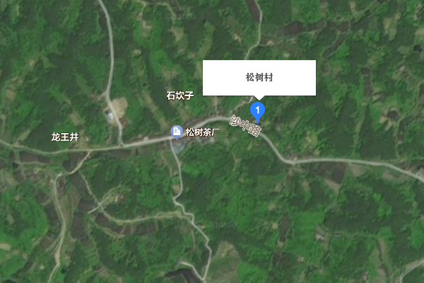 松樹村(陝西省漢中市城固縣天明鎮下轄村) 松樹村(陝西省漢中市城固縣天明鎮下轄村)