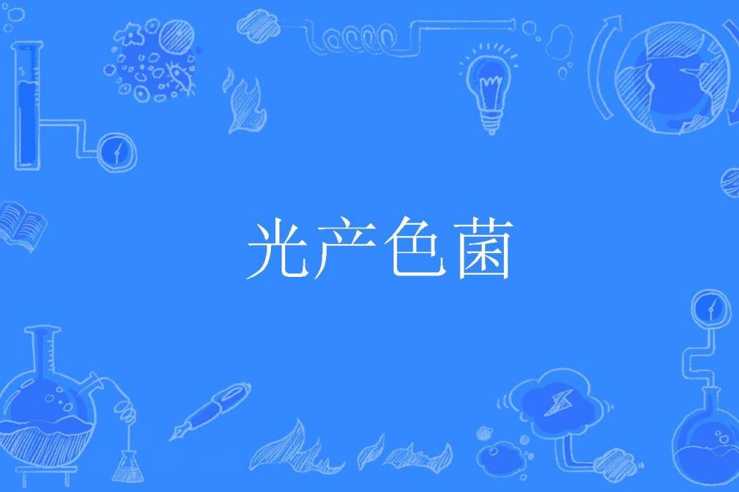 光產色菌 光產色菌