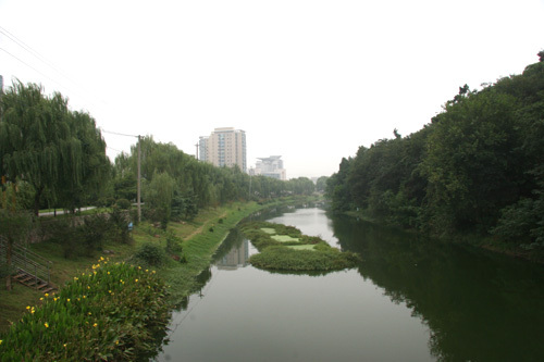 外港河 外港河