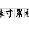 銖寸累積 銖寸累積