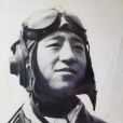 陶偉(抗美援朝飛行員) 陶偉(抗美援朝飛行員)