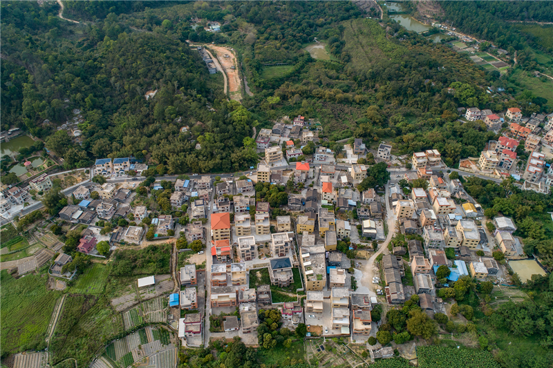 金竹山村(廣東省中山市南朗街道翠亨行政村下轄村) 金竹山村(廣東省中山市南朗街道翠亨行政村下轄村)