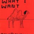 Who I Am and What I Want Who I Am and What I Want