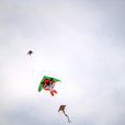 泰國風箏節