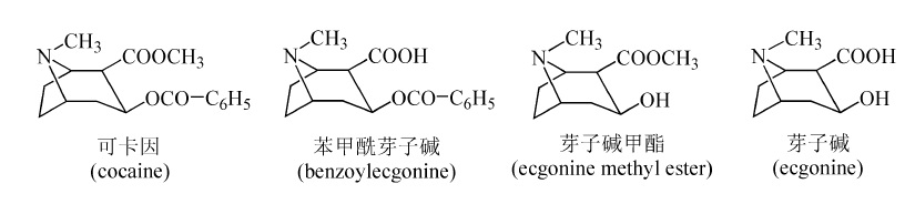 古柯鹼及代謝產物結構式