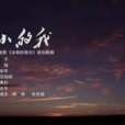 小小的我(高瑞演唱的歌曲) 小小的我(高瑞演唱的歌曲)