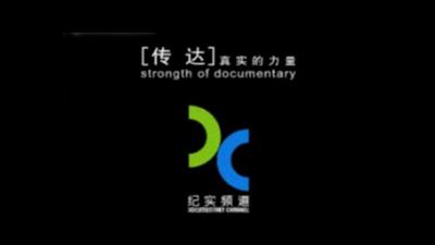 上海電視台紀實頻道