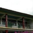 打場洞村 打場洞村