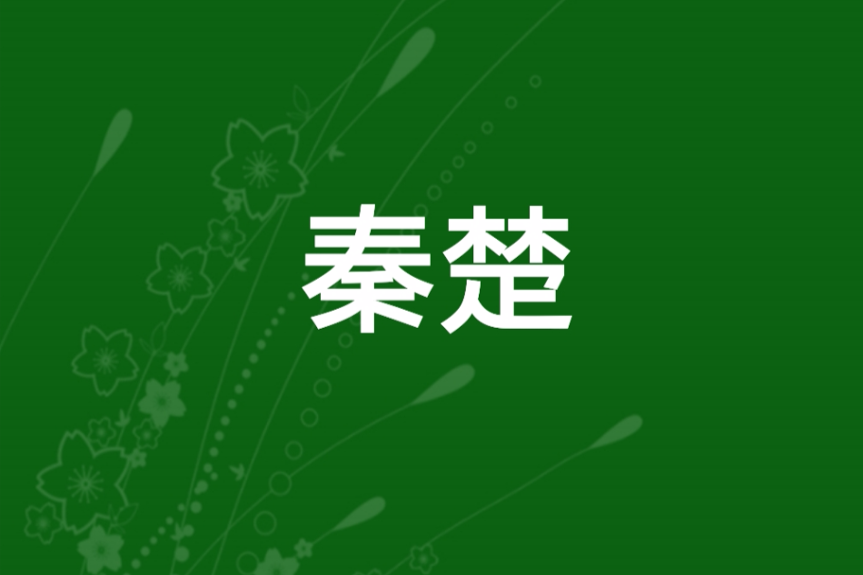 秦楚(《中國龍組》姐妹篇) 秦楚(《中國龍組》姐妹篇)